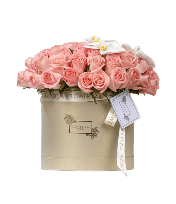 Eres mi todo, Carlota Box