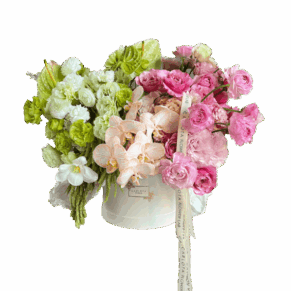 Savage love, CFL Premium