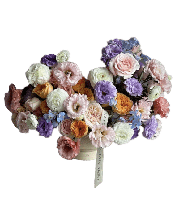 Amor eterno, CFL Premium