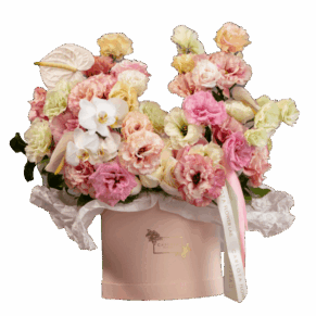 Con todo mi amor, Carlota Box