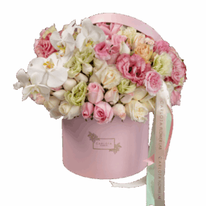 Sweet and pink, Carlota Box