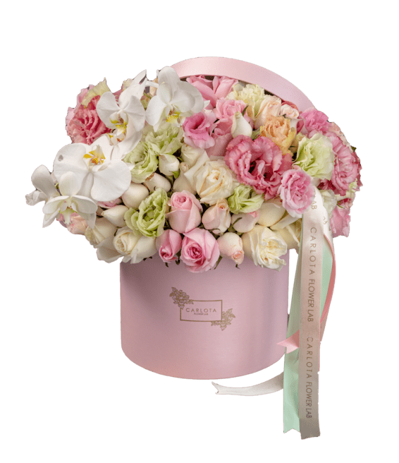 Sweet and pink, Carlota Box