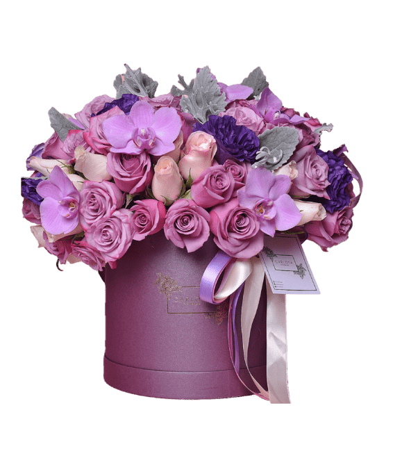 Purple Love, Carlota Box
