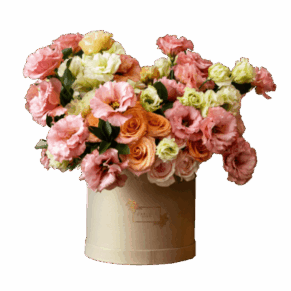 Sweet pastels, Carlota Box