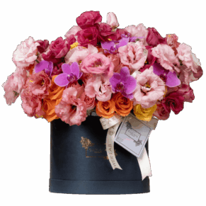 Tropical Love, Carlota Box