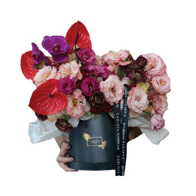 Romantic, Carlota Box