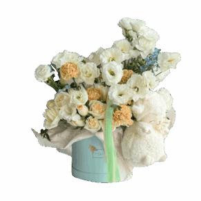 New Born, Carlota Box