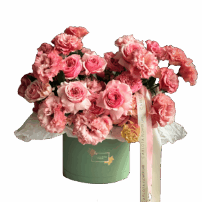 Pink Pastels, Carlota Box