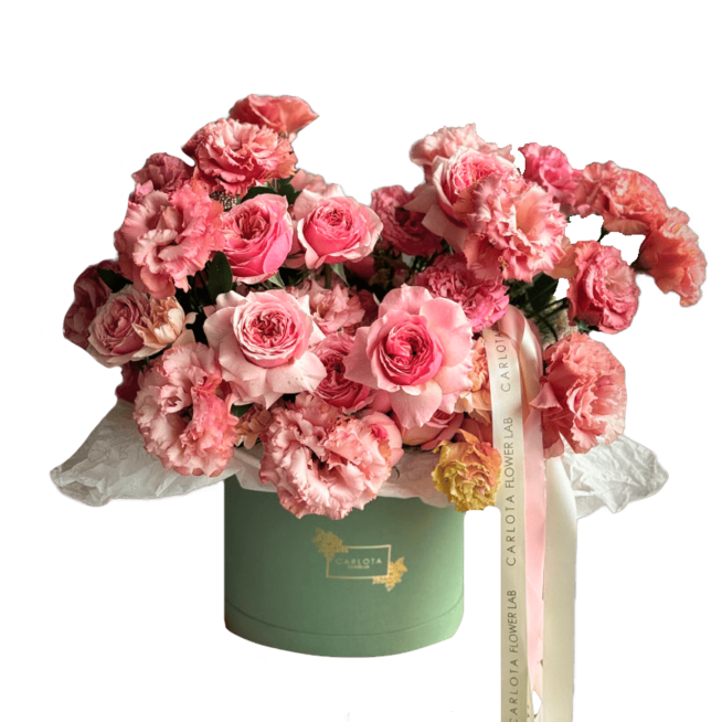 Pink Pastels, Carlota Box