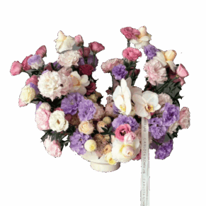 Amor para siempre, CFL Premium