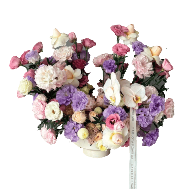 Amor para siempre, CFL Premium