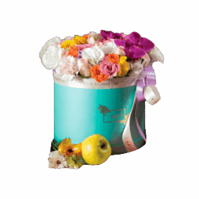 Pop colors, Flat Box