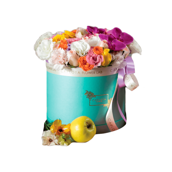 Pop colors, Flat Box