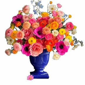 Viva la vida, CFL Premium