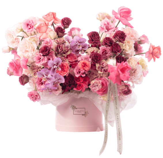 Pink pastels, Carlota Box