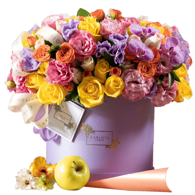 Lilac colorful,Carlota Box