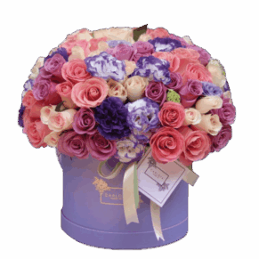 Sweet lilac, Carlota Box