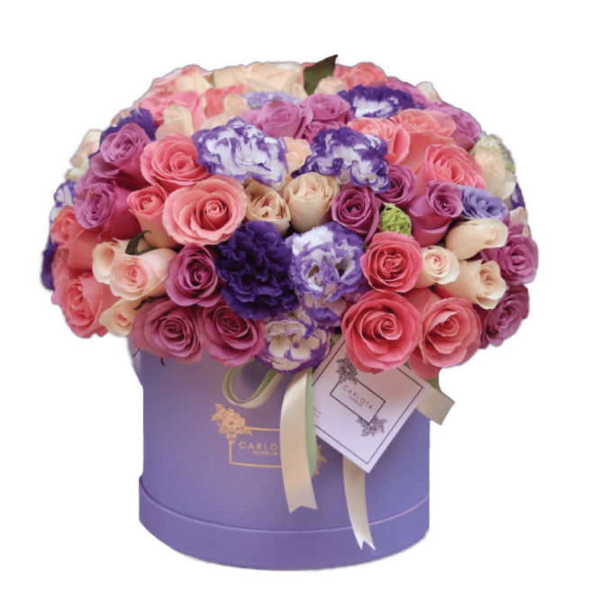 Sweet lilac, Carlota Box