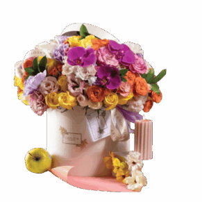 Colorfully, Carlota Box