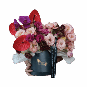 Romantic, Carlota Box