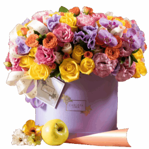Lilac colorful,Carlota Box